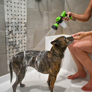 ForKumi dog bathing sprayer with multiple modes used to wash a dog standing in a bathtub