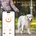 ForKumi 4G GPS pet tracker collar showing step recording function and exercise plan for dog owner
