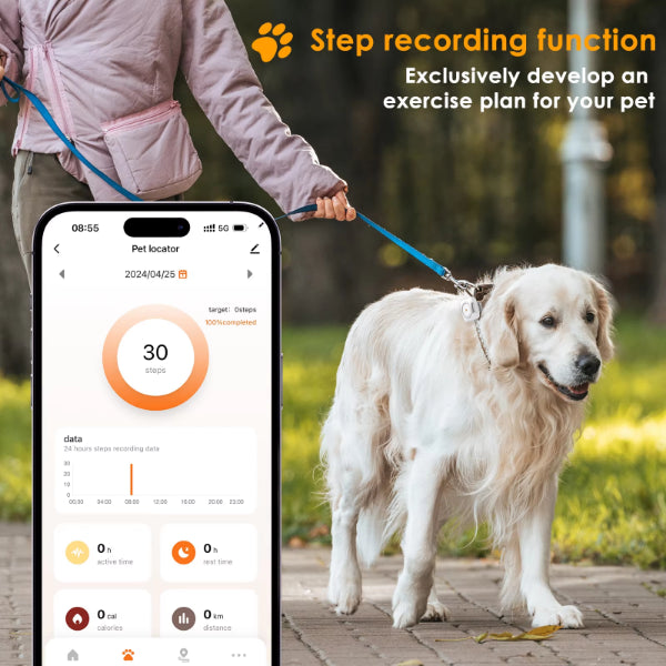 ForKumi 4G GPS pet tracker collar showing step recording function and exercise plan for dog owner