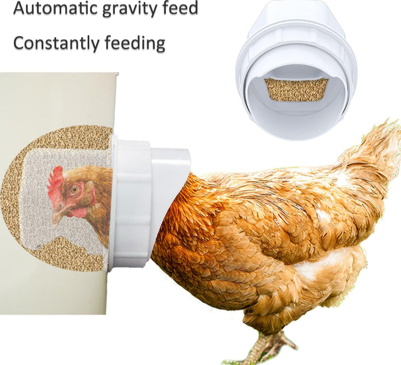 Avis automatic poultry feeder FDA approved with gravity feed design for constant feeding of chickens
