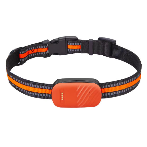 ForKumi ultra-light pet GPS tracker with adjustable black and orange reflective collar for pets