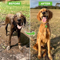 Before and after using ForKumi dog bathing sprayer with multiple modes showing a muddy dog cleaned and happy