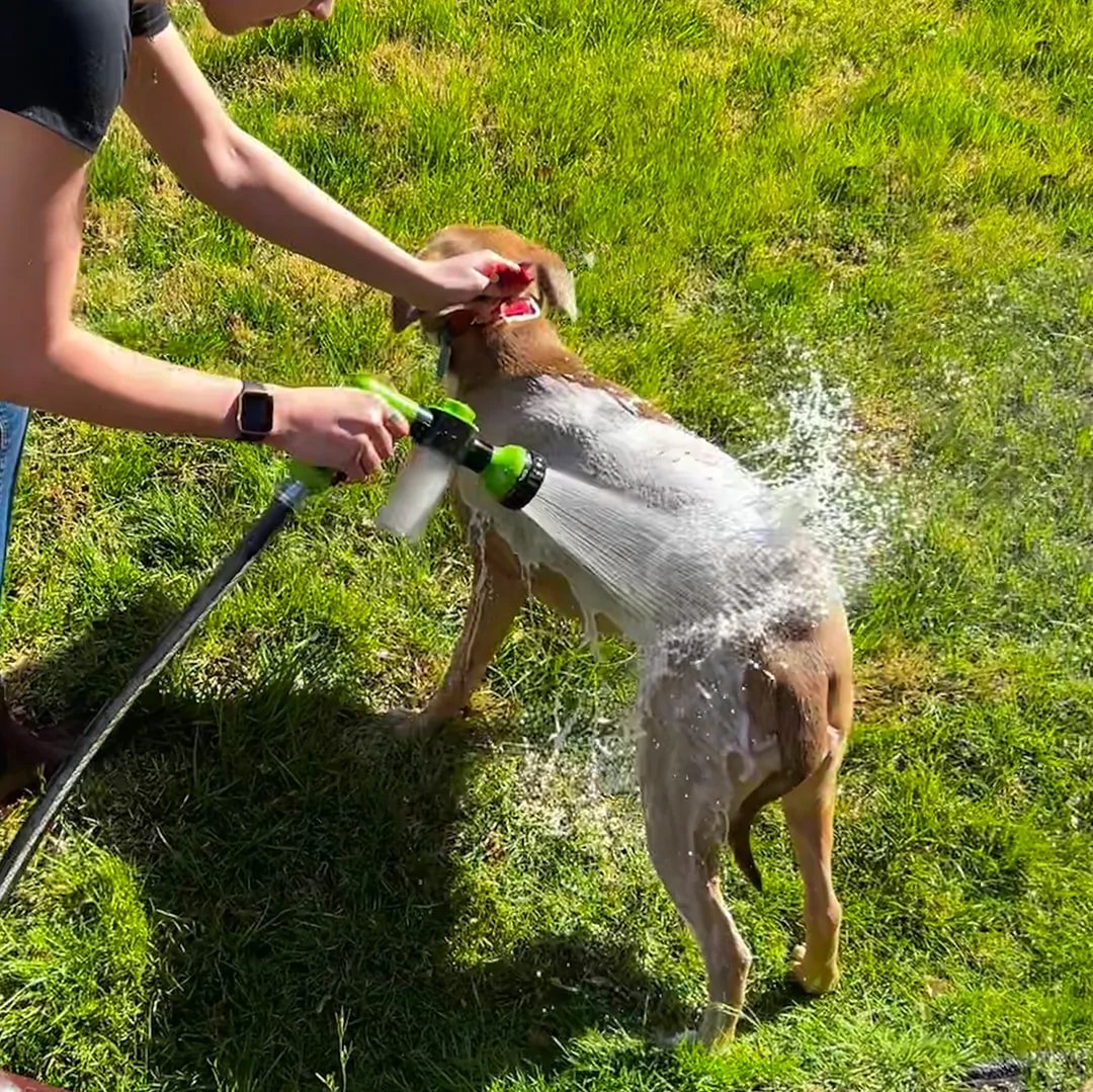 ForKumi dog bathing sprayer with multiple modes used to wash a dog standing in a bathtub