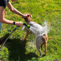ForKumi dog bathing sprayer with multiple modes used to wash a dog outdoors on green grass