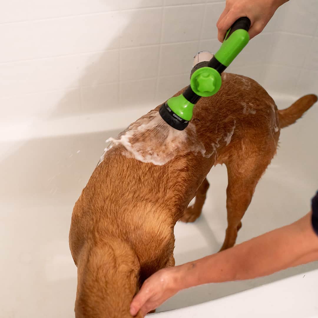 ForKumi dog bathing sprayer with multiple modes in green being used to wash a brown dog in a white bathtub