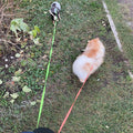 ForKumi dual dog leash tangle free in use with two dogs walking on grass and pavement