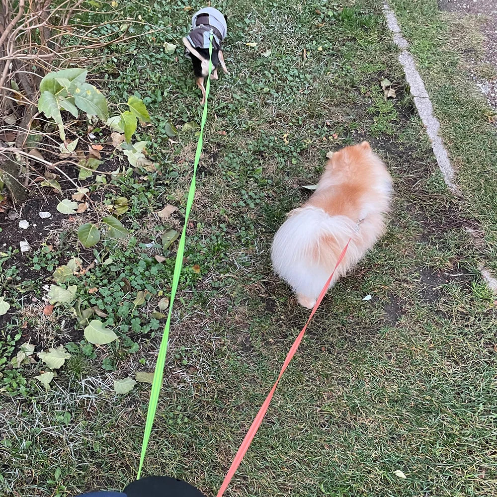 ForKumi dual dog leash tangle free in use with two dogs walking on grass and pavement