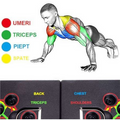 Muscle diagram highlighting target areas like shoulders, triceps, chest for foldable pushup board set