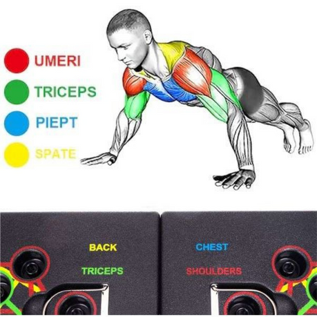 Muscle diagram highlighting target areas like shoulders, triceps, chest for foldable pushup board set