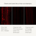 Comparison image showing hair cleaned with MIT dry shampoo spray versus dirty hair and rinsed shampoo results