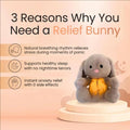 Avis musical otter soother for babies soft relief bunny plush toy promoting sleep and anxiety relief