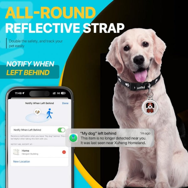 No monthly fee pet GPS tracker with all-round reflective strap shown on a dog and app notification for left behind alert