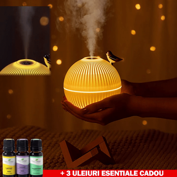 ForKumi ultrasonic humidifier with essential oils glowing warmly held in hands with essential oil bottles nearby