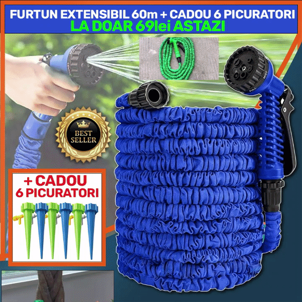 ForKumi 60m expandable garden hose in blue with spray nozzle and six green drip irrigation stakes
