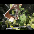ForKumi vine tying tool kit used to secure grapevine branches with green foliage background