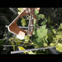ForKumi vine tying tool kit used to secure grapevine branches with green foliage background