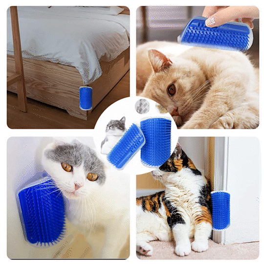 ForKumi wall mounted cat brush in blue used by cats for self-grooming on furniture and walls