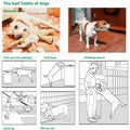 Diagram showing common bad habits of dogs like dismantling home and barking with waterproof dog training collar
