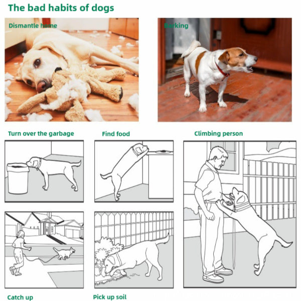 Diagram showing common bad habits of dogs like dismantling home and barking with waterproof dog training collar