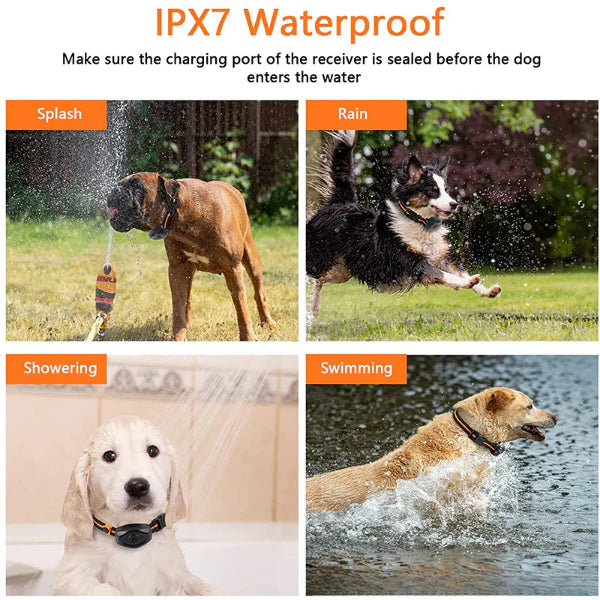 ForKumi waterproof dog training collar shown on dogs in rain, swimming, showering, and splash scenarios with IPX7 protection